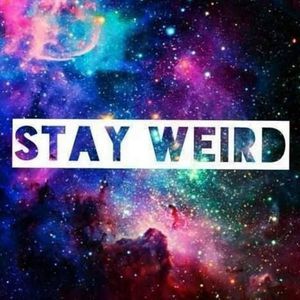 Meet your Posher, Troy